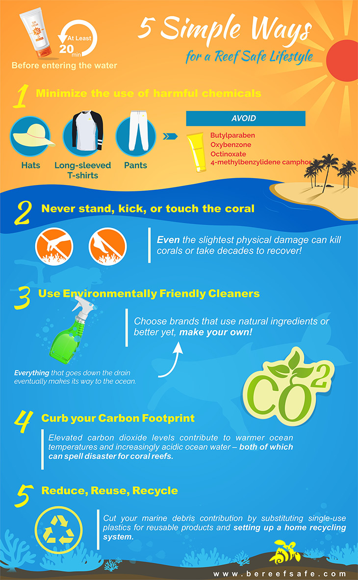 the-5-simple-ways-be-reef-safe-approach-infographic