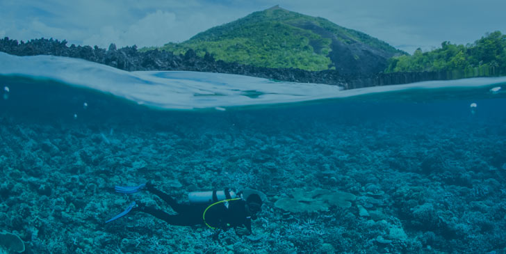 90% of snorkeling and diving tourism is concentrated on only 10% of the world’s reefs.