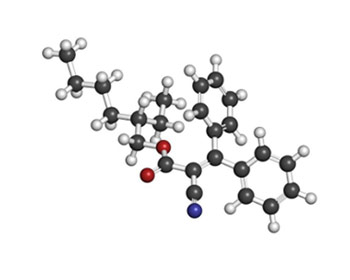 model-cinnamates