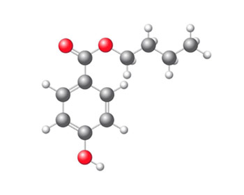 model-parabens